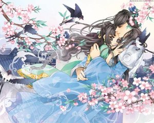 张津瑜的视频无删减